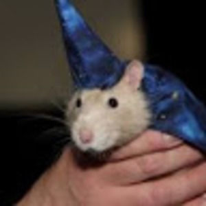 Meet your Posher, O1ivepasta